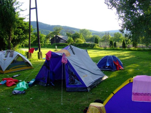 DSCF0077 (Medium)